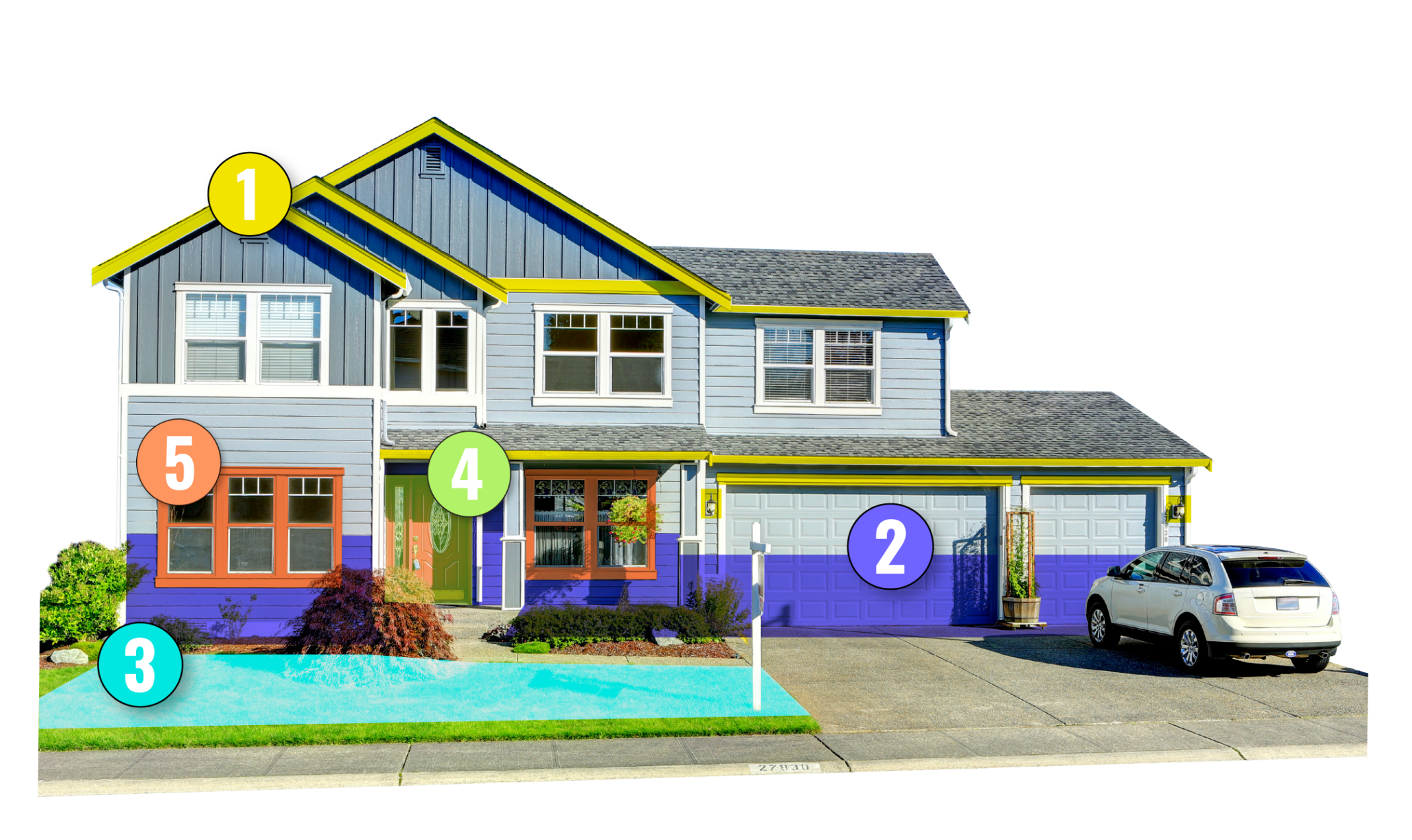 Essential Pest 5 step Process For Success