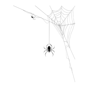 Essential Pest Ohio Spider Elimination